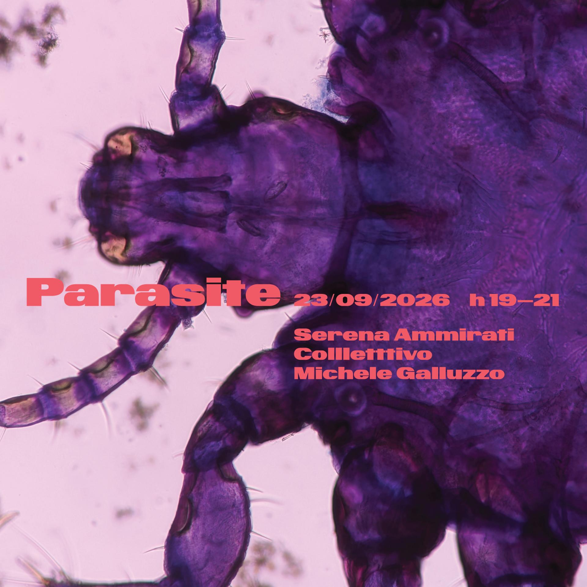 TypespottingTalks: Parasite