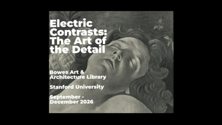 Electric Contrasts: the Art of the Detail