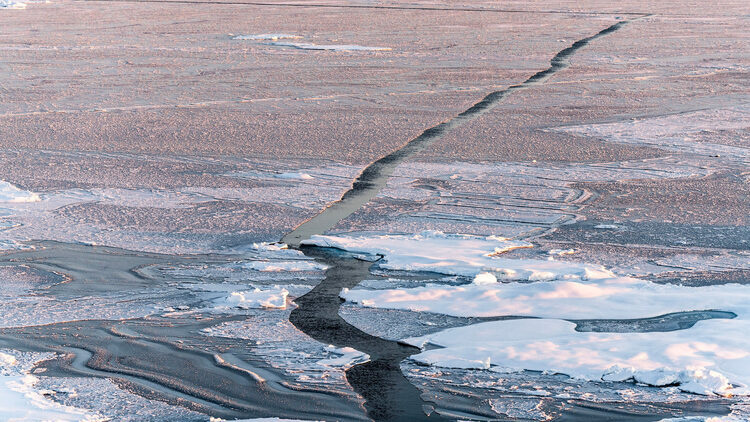 From Brooklyn to the North Pole: An Illustrated Journey with Photographer Leonard Sussman