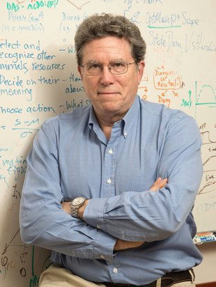 David Anderson - Neural Coding of Affective Internal States Underlying Innate Behaviors