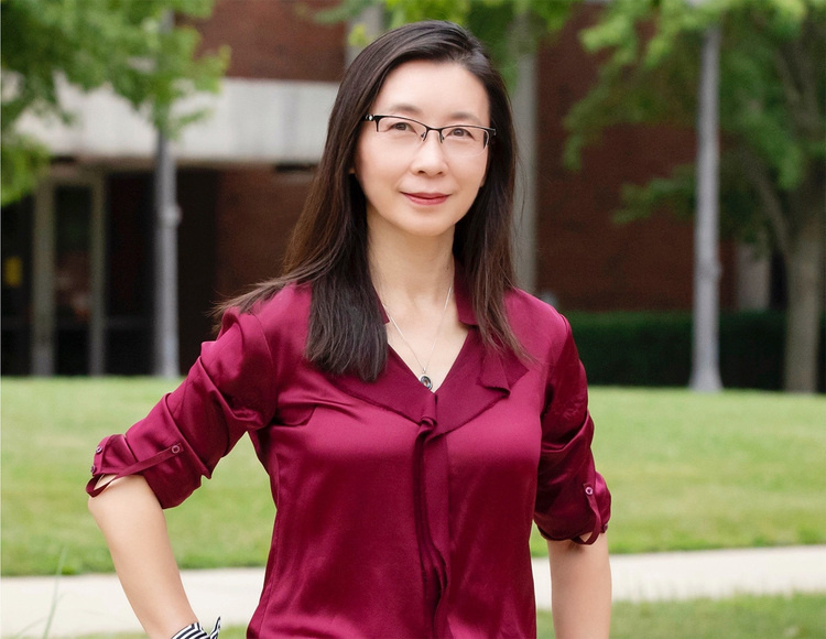Materials Science and Engineering Seminar - Professor Xiuling Li from The University of Texas at Austin (Building 6, Room 104)