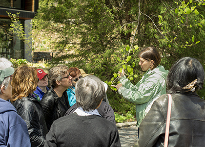 Mindful Botany Walk