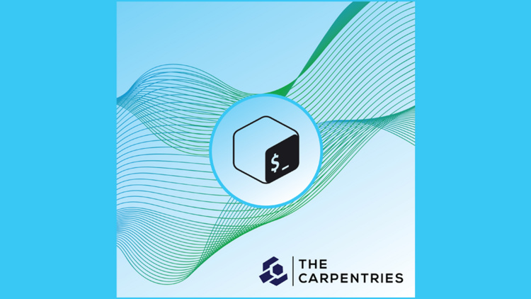 Carpentries: the Unix Shell