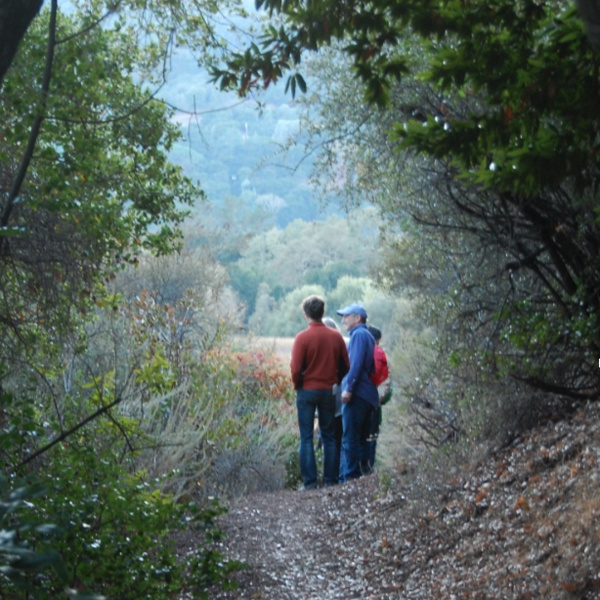 CBD 2026: Morning Jasper Ridge Biological Preserve ‘Ootchamin ‘Ooyakma, Contemplative Hikes in Nature