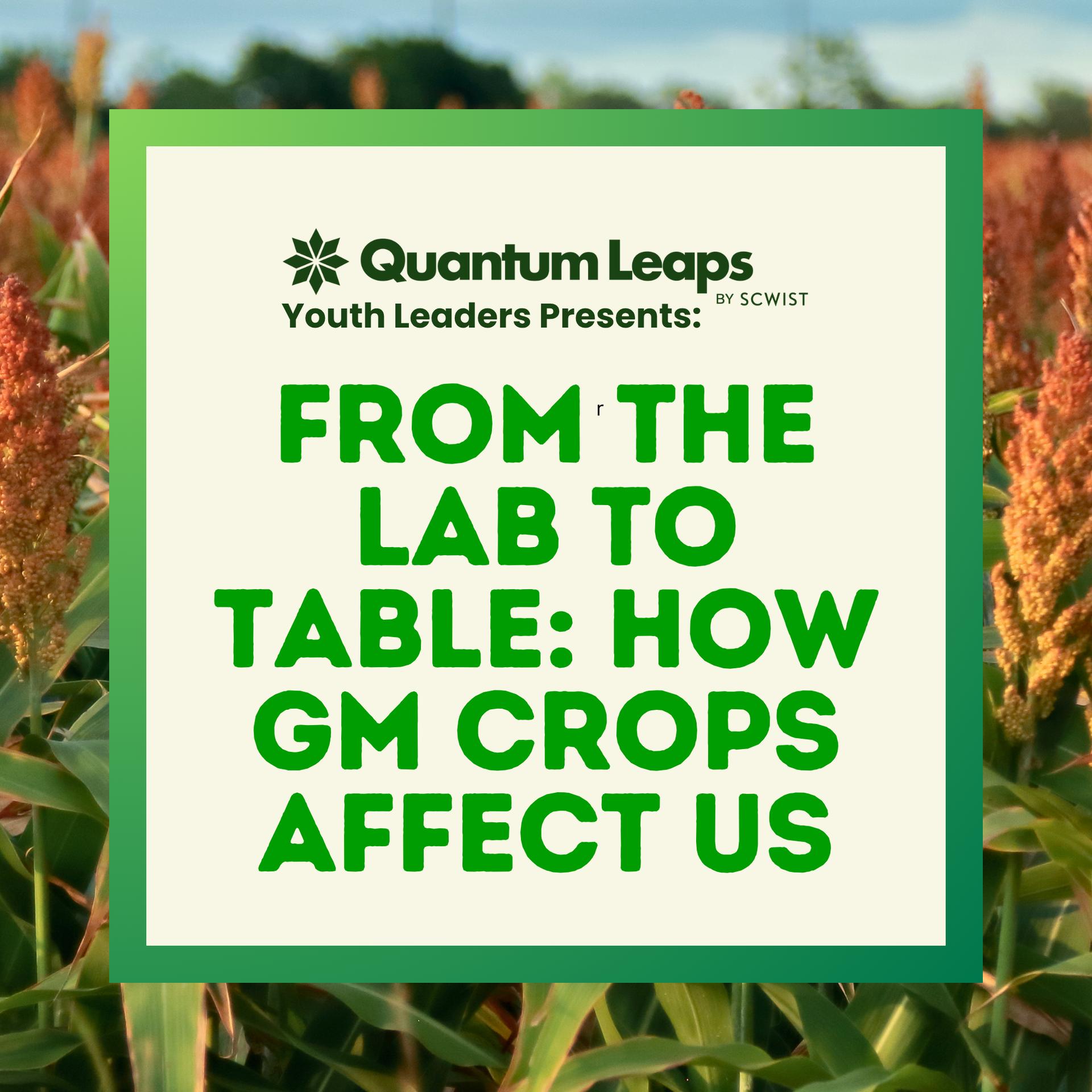From the Lab to Table: How GM Crops Affect Us