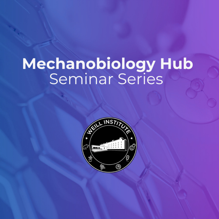 Mechanobiology Hub Seminar: Mechanobiology meets Women's Health
