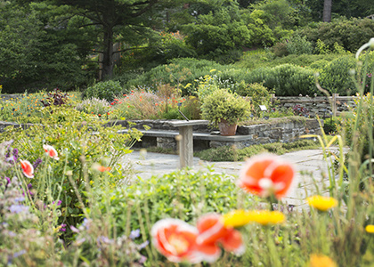 Sunday Botanic Gardens Highlights Tour