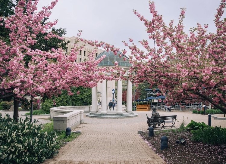 GW Graduate & Professional School Fair