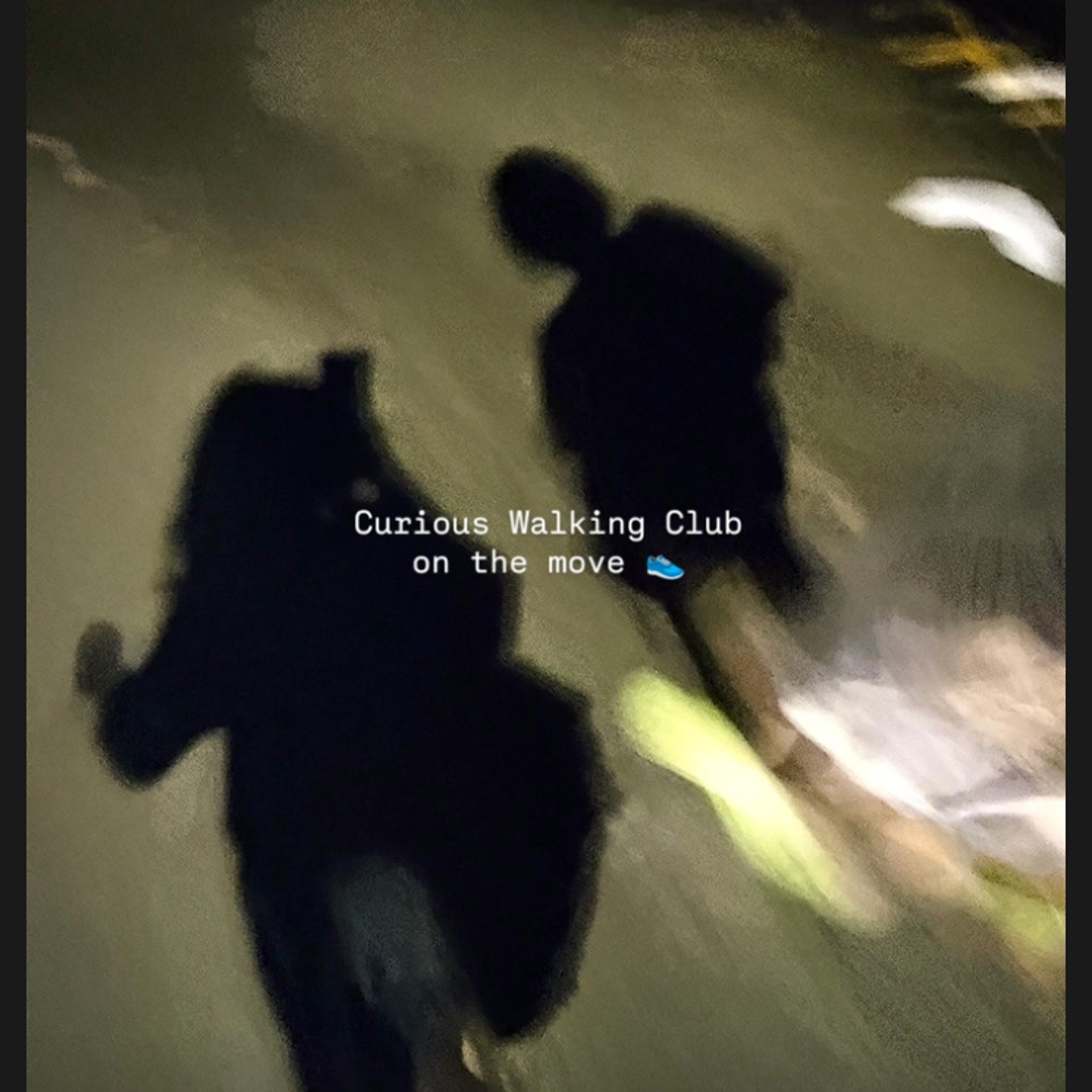 🚶Curious Walking Club - New Delhi 🇮🇳 #1 | Friends of Screate Labs