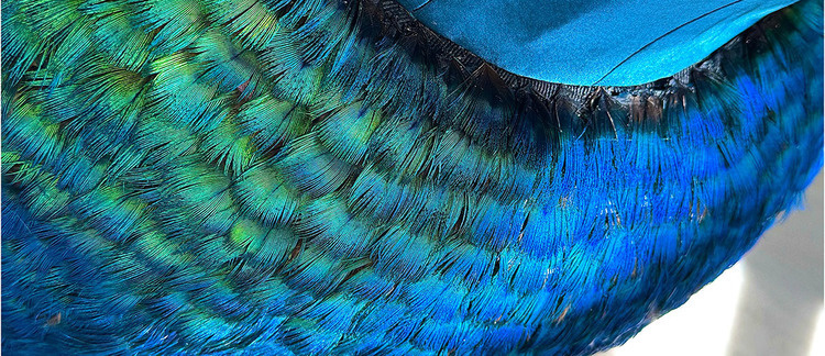 Elemental: The 2026 Barbara L. Kuhlman Scholars’ Group Exhibition