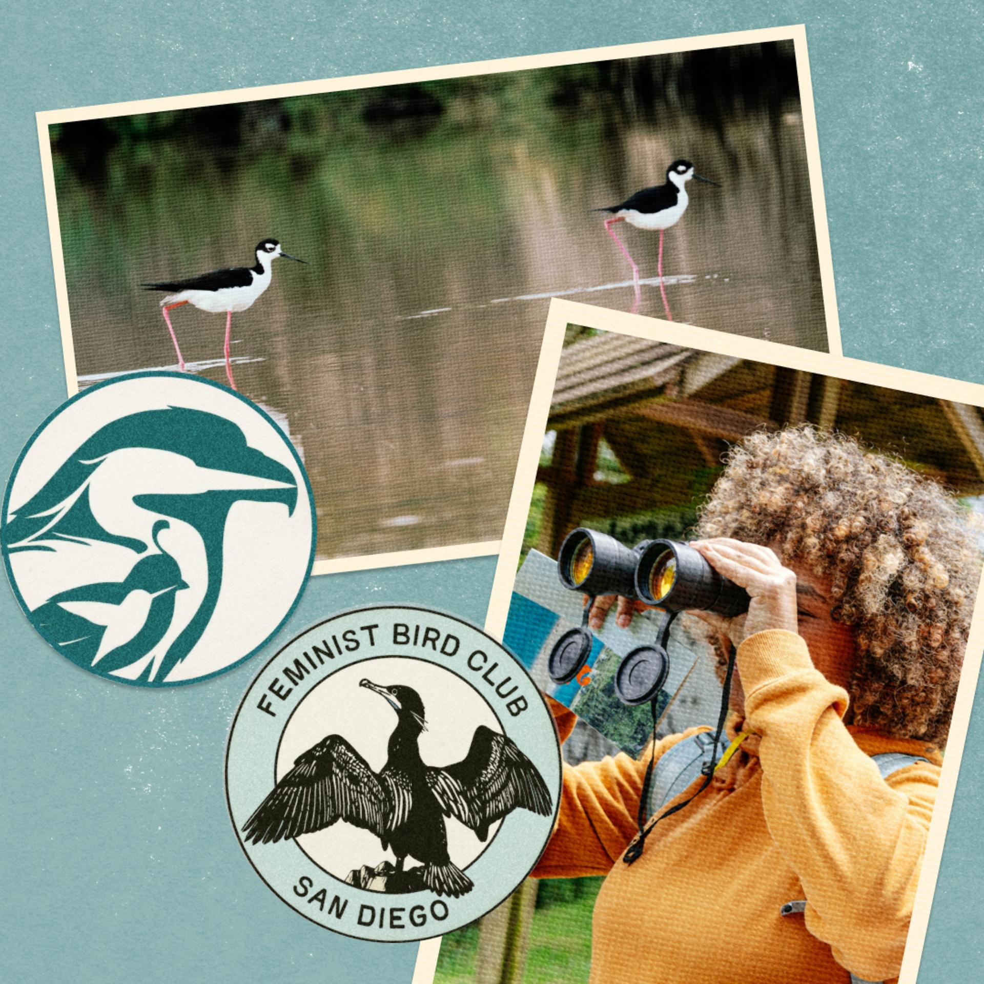 Ecology on the Edge: Birding for Climate & Environmental Justice at Tijuana Estuary