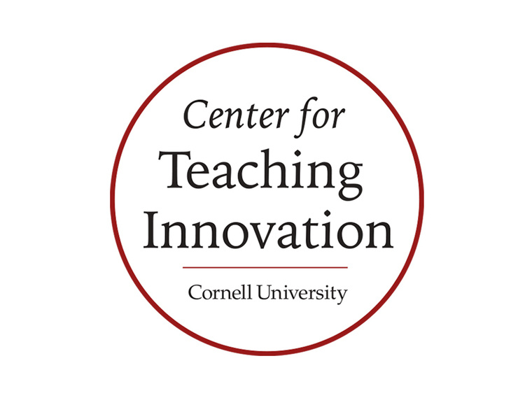 New Faculty Teaching Academy
