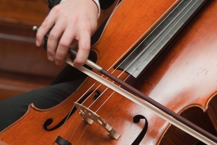 Noon Concert: Cello Students of Christopher Costanza