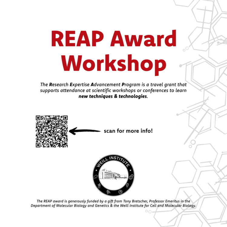 REAP Workshop Fall 2026
