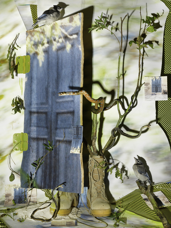 Hanes Visiting Artist Lecture Series: Sheida Soleimani
