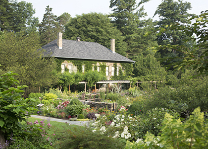 Saturday Botanic Gardens Highlights Tour