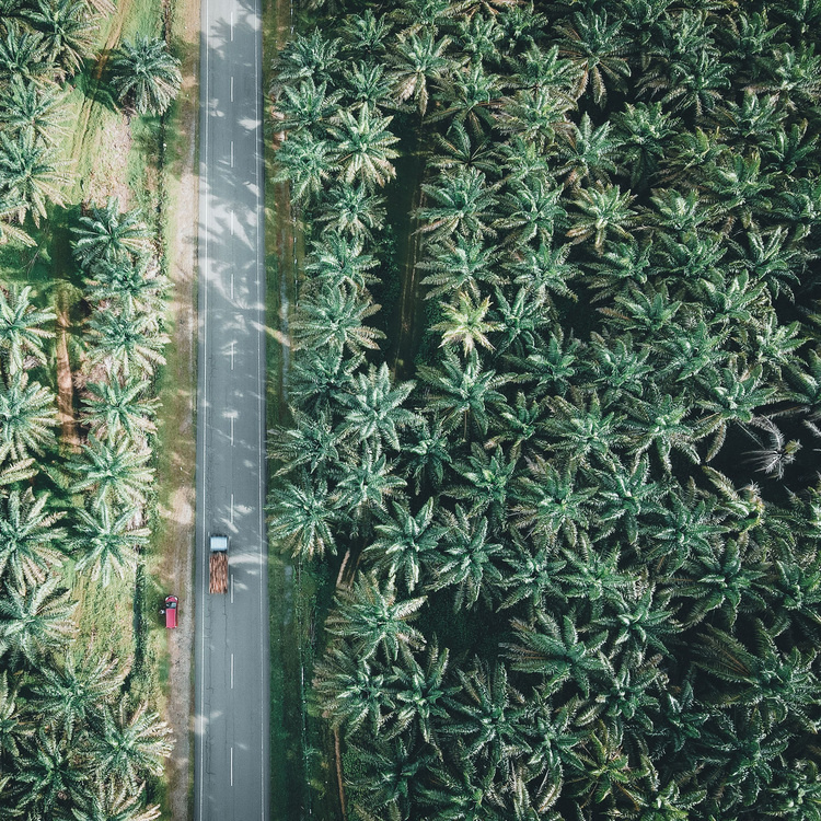 Sustainability in Practice – Stories of Partnering for Impact
