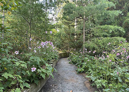 Mindful by Nature: The Inner Work of Being Outdoors