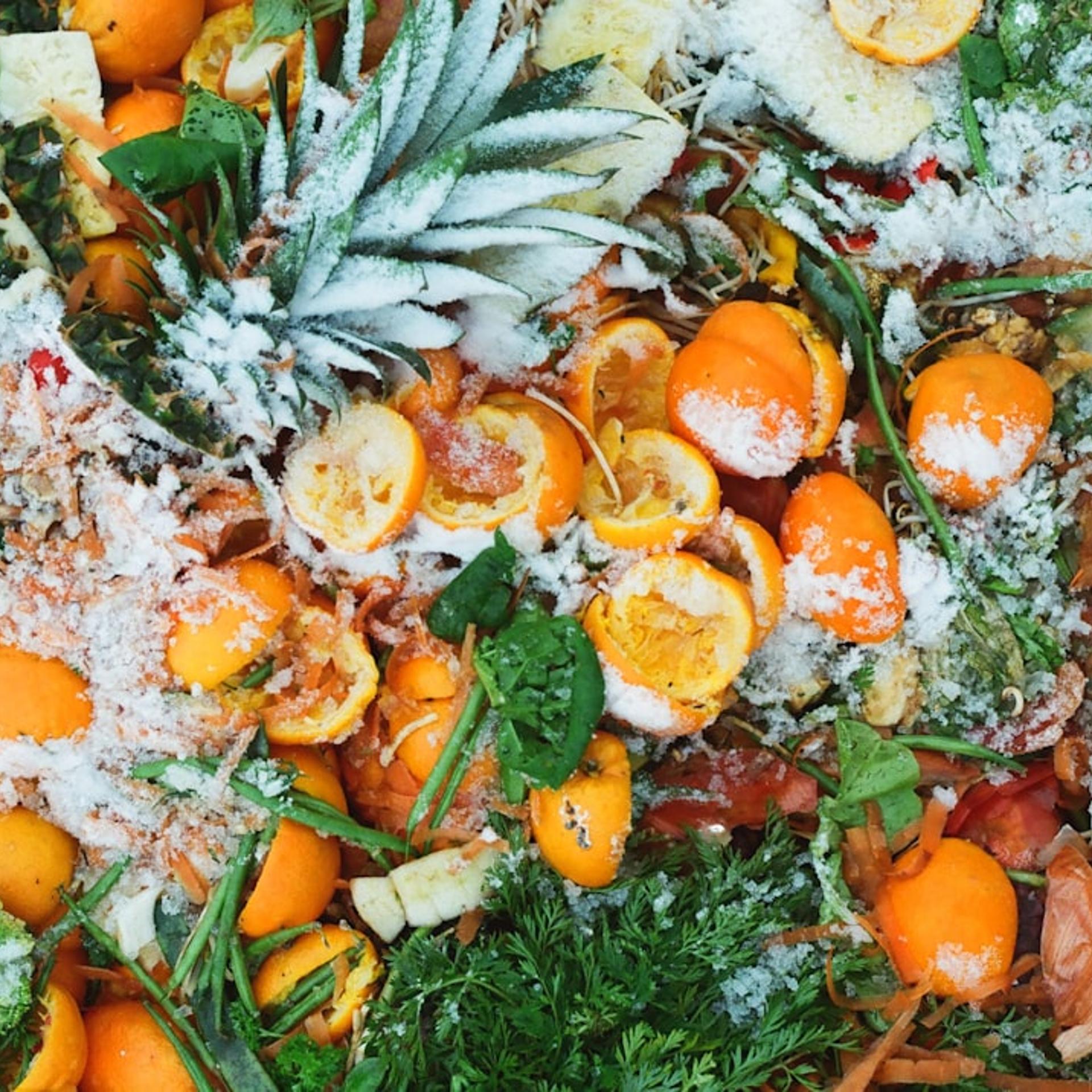 Food Waste to Watercolor Workshop